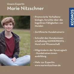 Die Bedeutung von Persönlichkeit für Impulskontrolle