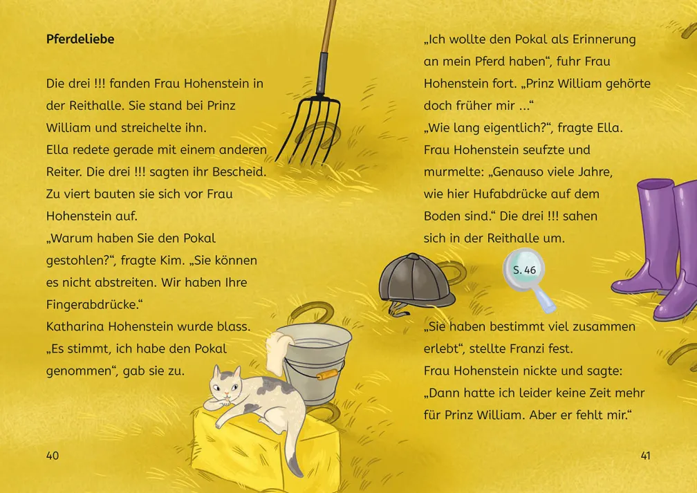Die drei !!!, Bücherhelden 2. Klasse, Diebstahl auf dem Ponyhof