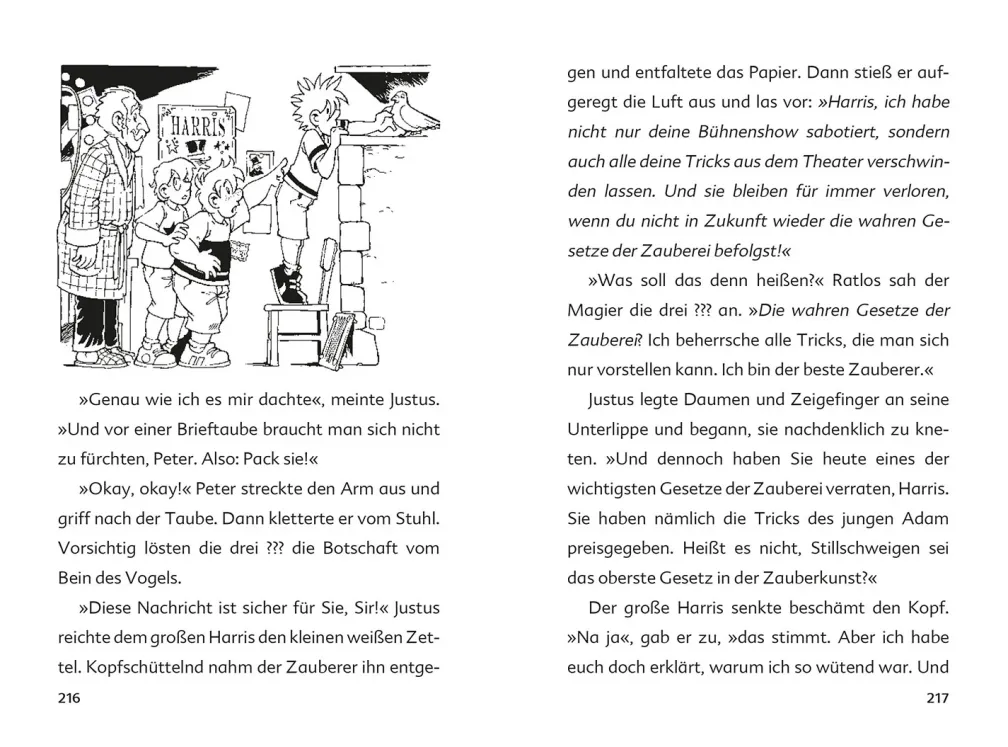 Die drei ??? Kids Magische Schurken