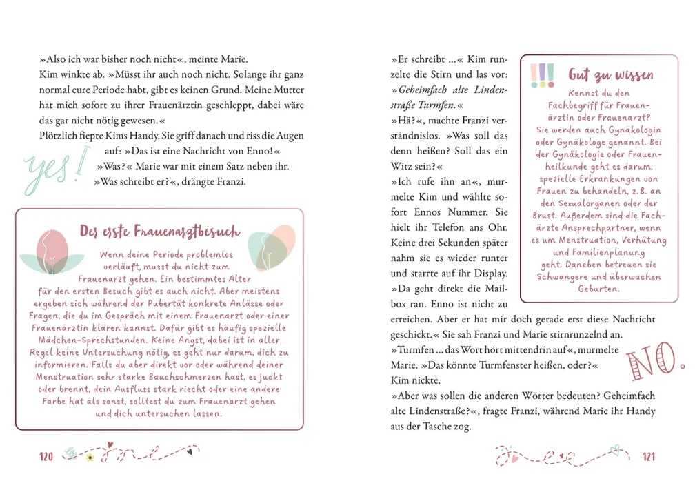 Die drei !!!, Mädchentalk & miese Diebe