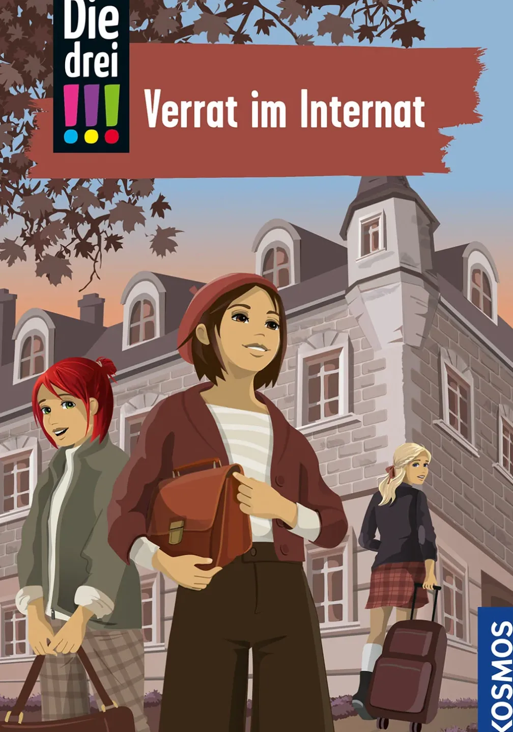 Die drei !!!, 108, Verrat im Internat