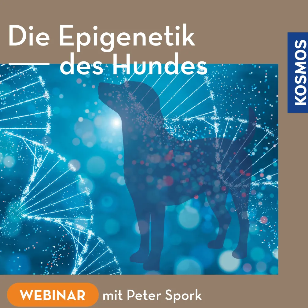 Die Epigenetik des Hundes