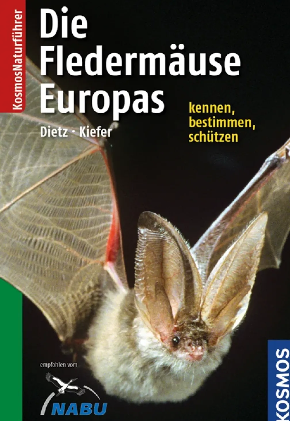 Die Fledermäuse Europas
