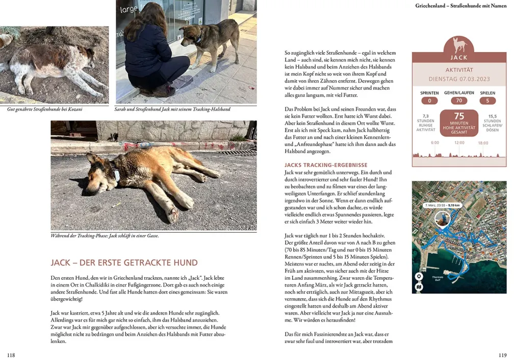 Die geheime Welt der Straßenhunde