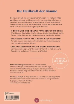 Die Heilkraft der Bäume nach Hildegard von Bingen