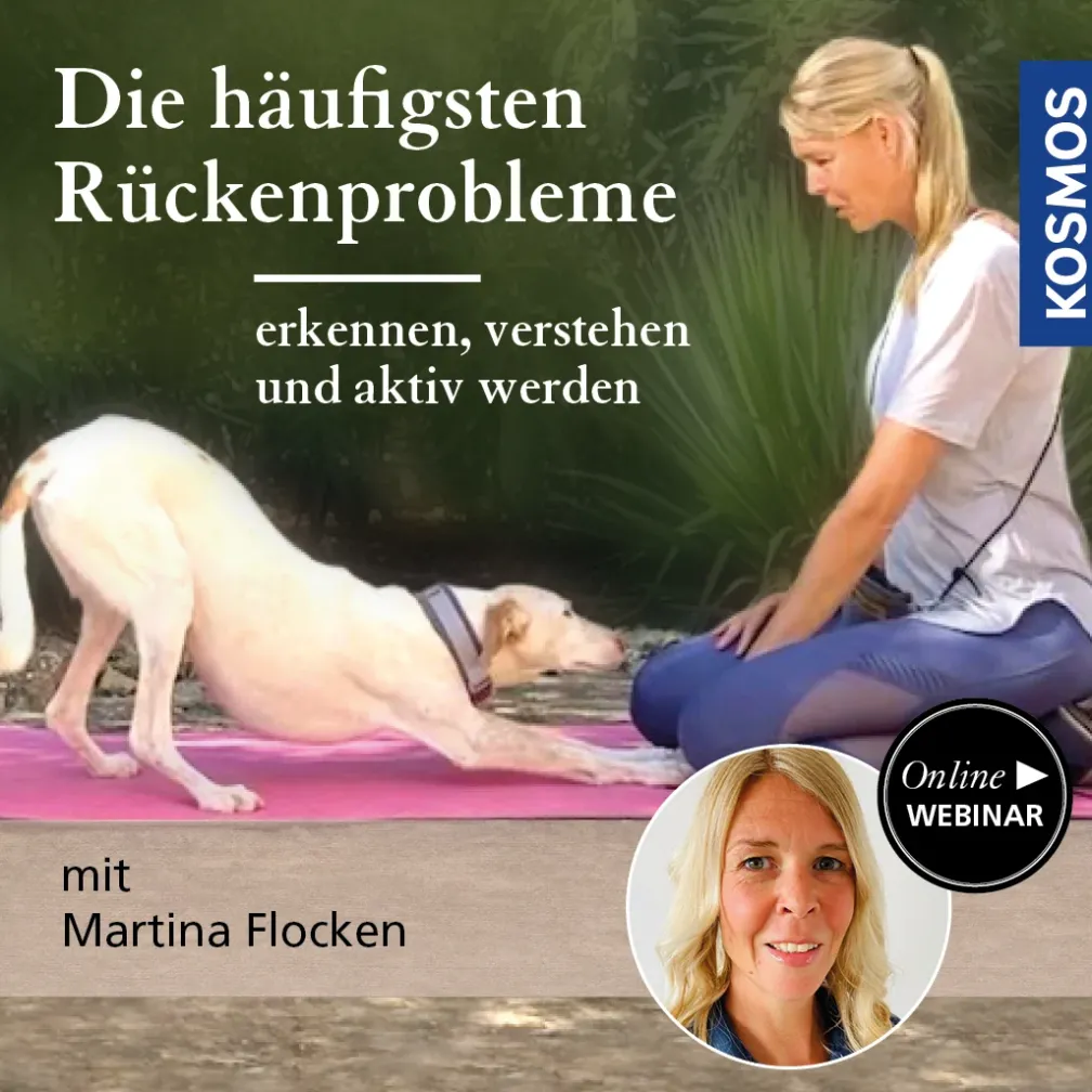 Die häufigsten Rückenerkrankungen