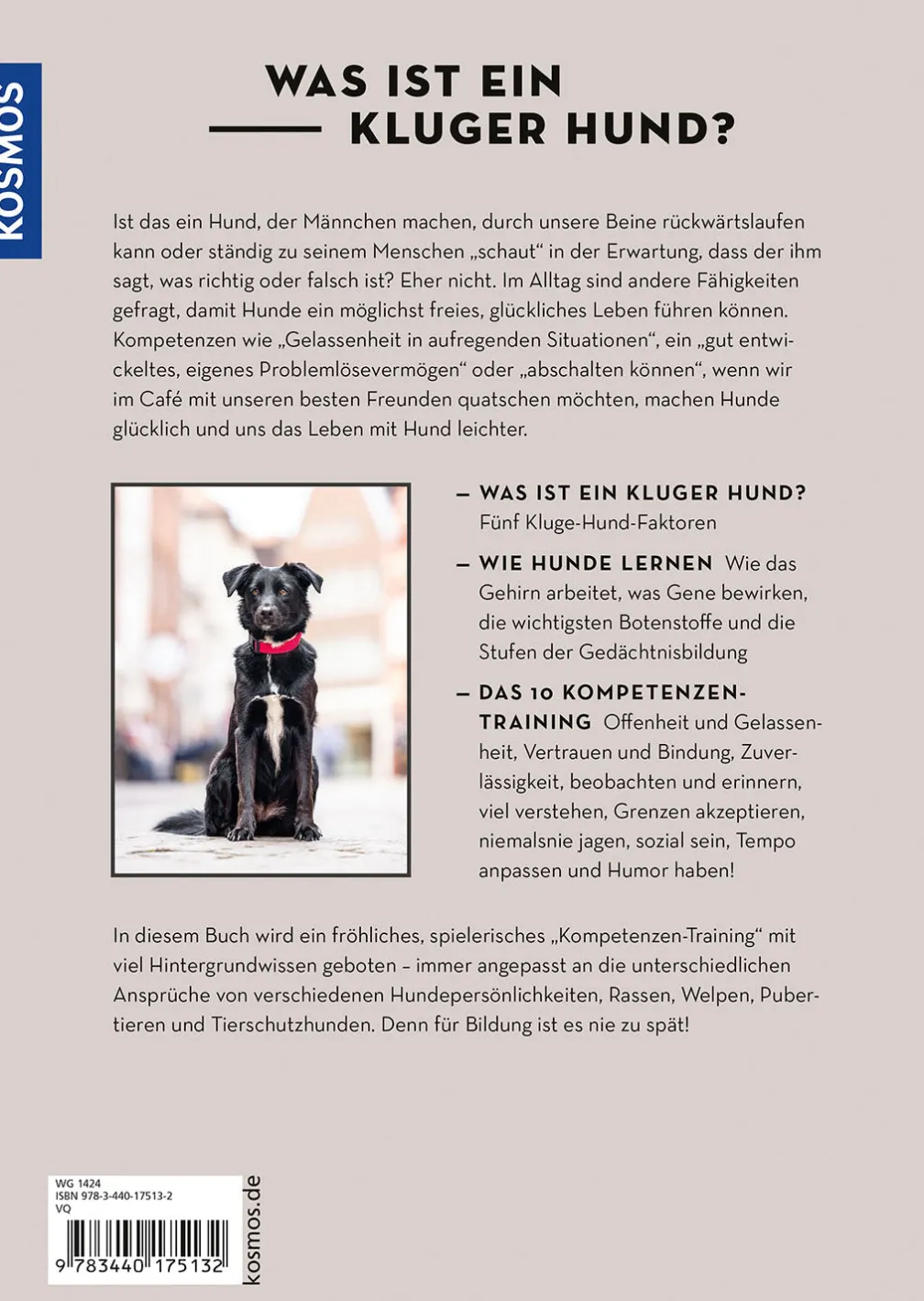 Die 10 Kompetenzen für Hunde