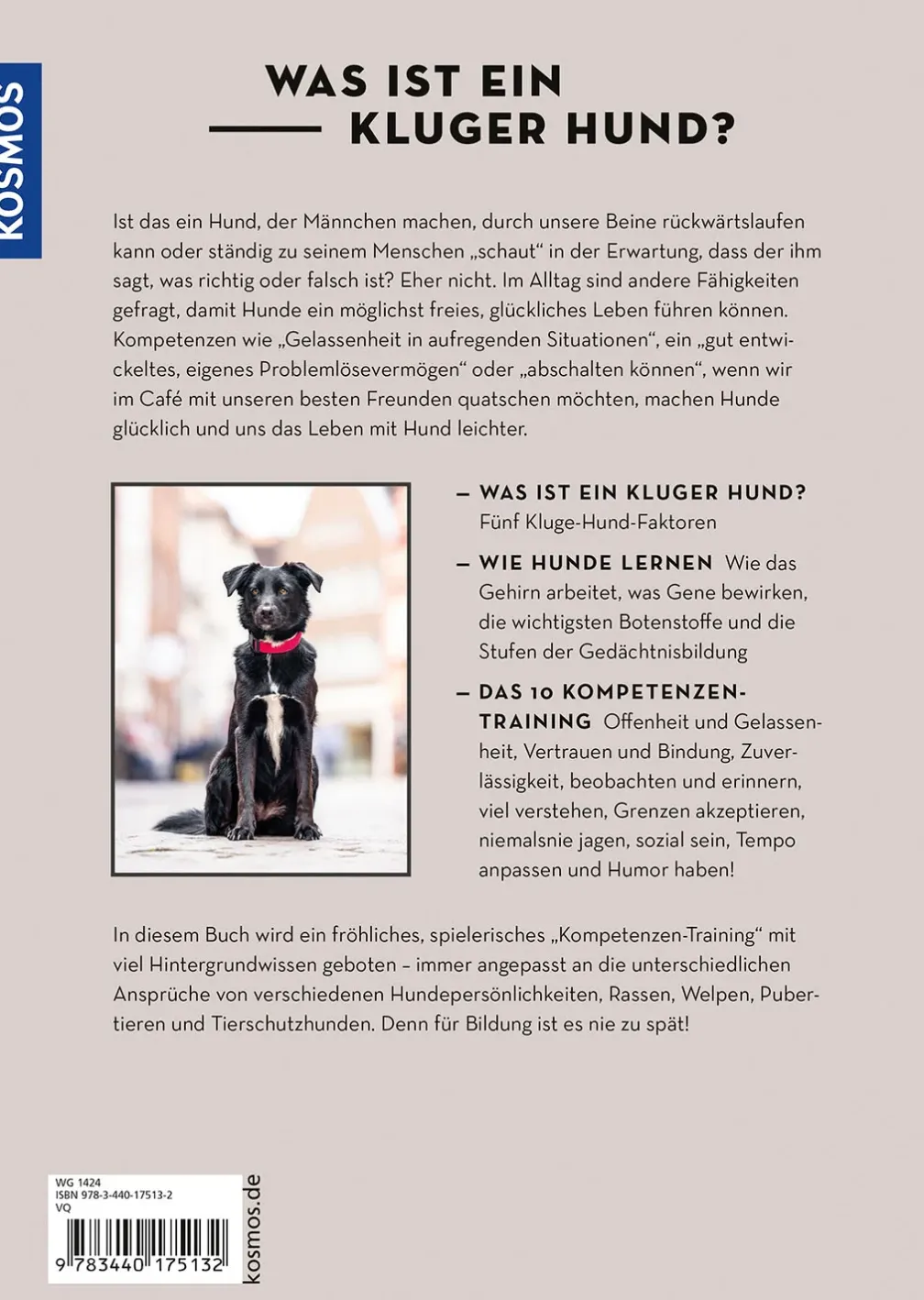 Die 10 Kompetenzen für Hunde