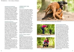 Die 10 Kompetenzen für Hunde