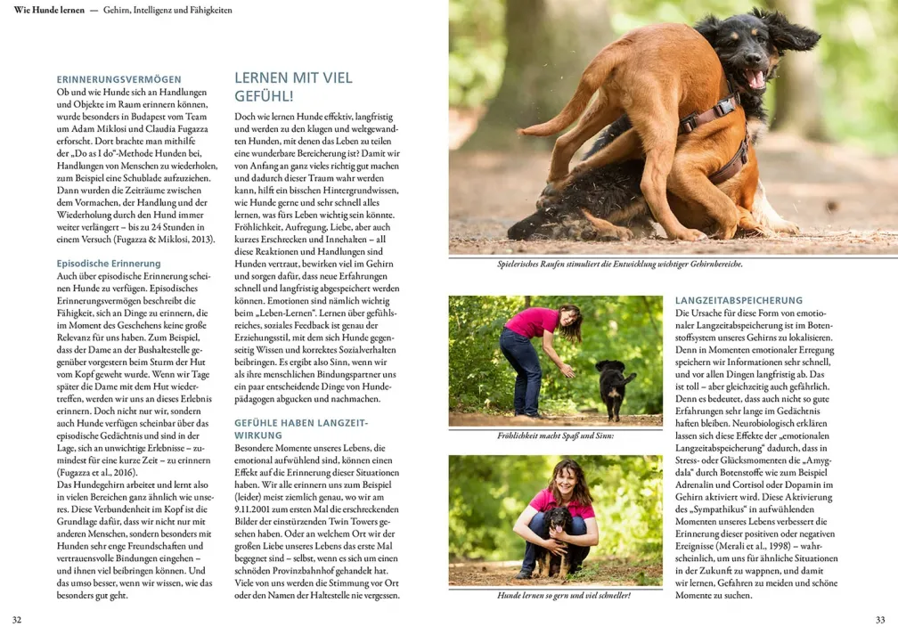 Die 10 Kompetenzen für Hunde