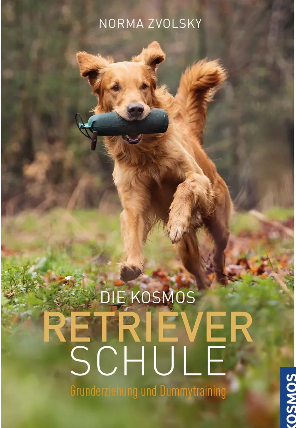 Die Kosmos Retrieverschule