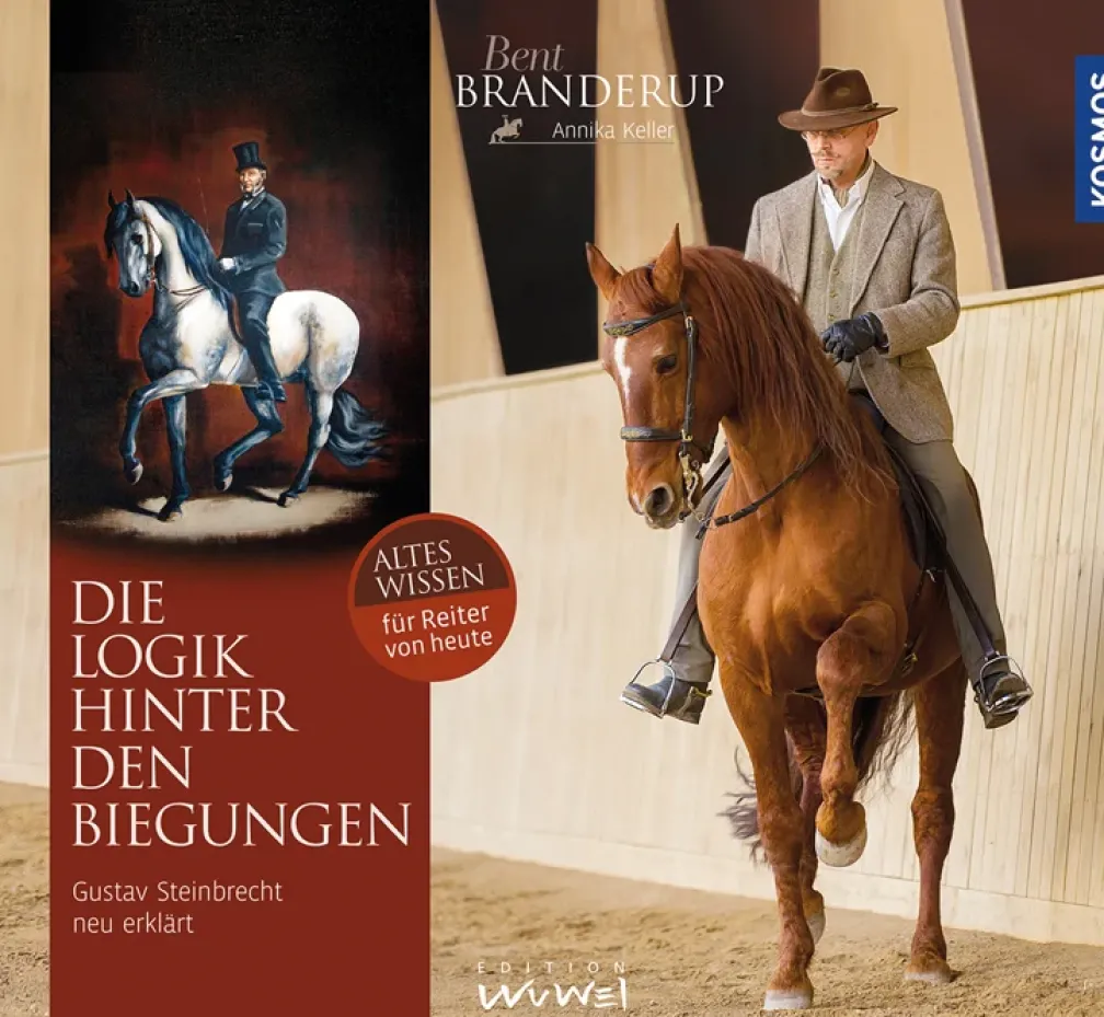 Die Logik hinter den Biegungen