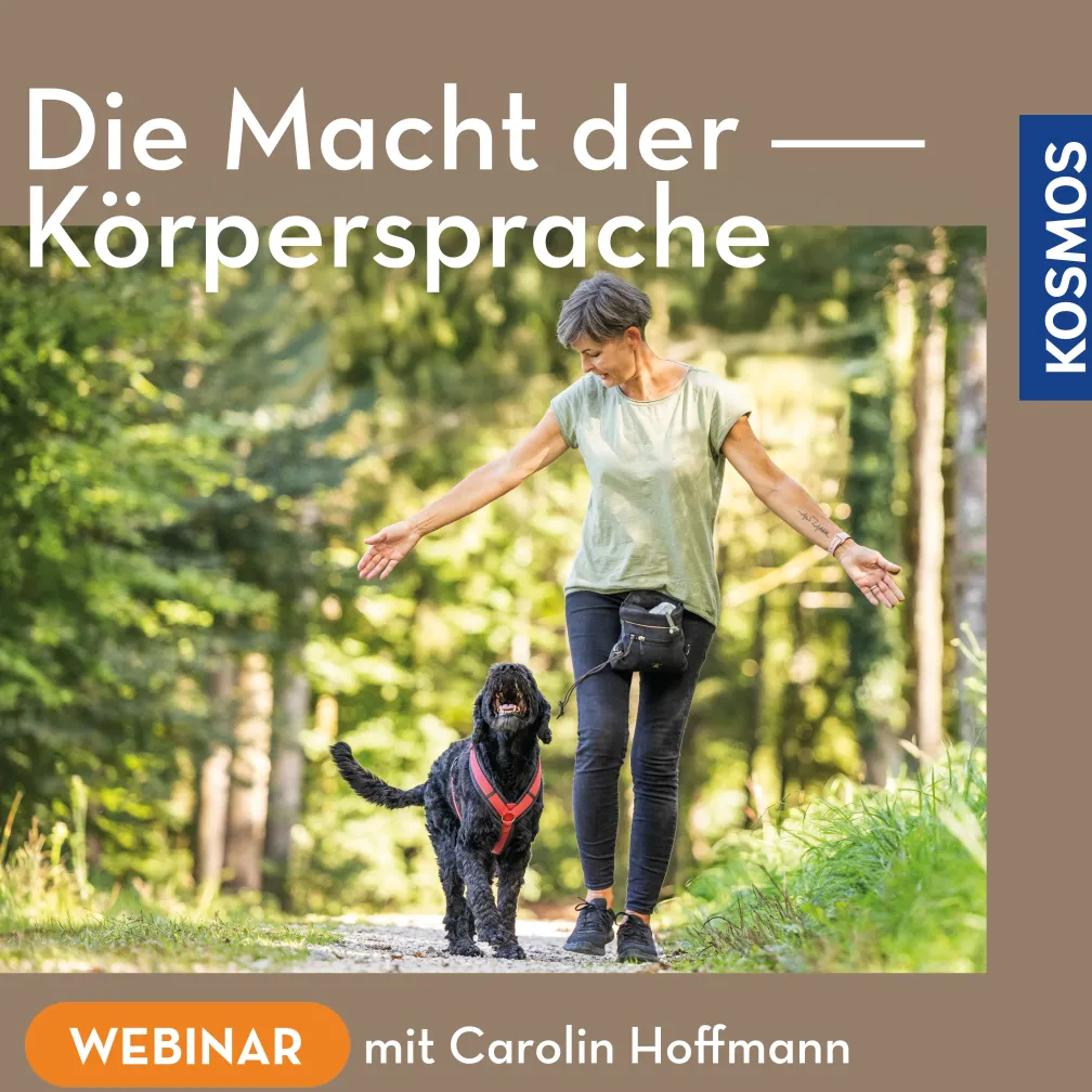 Die Macht der Körpersprache