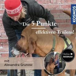 Die 5 Punkte effektiven Trailens!