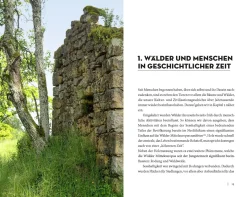 Die Sache mit dem Wald