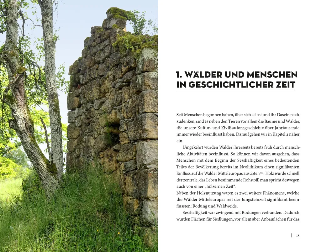 Die Sache mit dem Wald