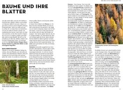 Die siehst du! Bäume