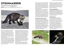 Die siehst du - Die Tiere um dich herum