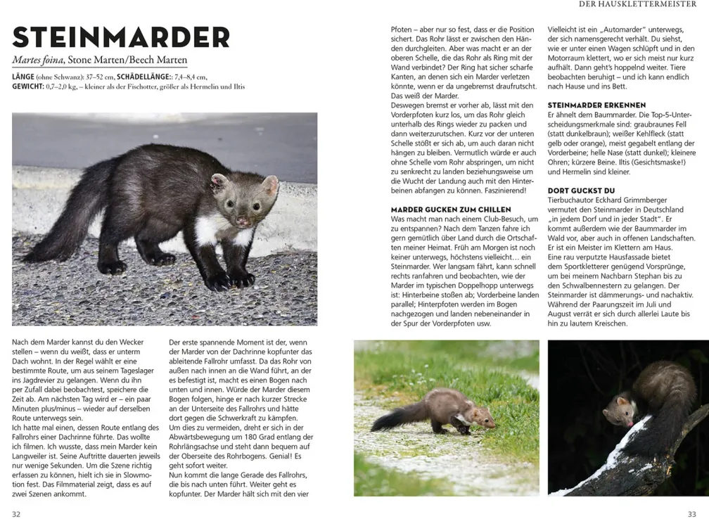 Die siehst du - Die Tiere um dich herum