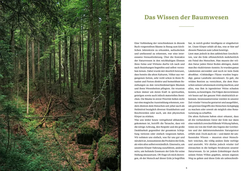 Die Weisheit der Baumwesen