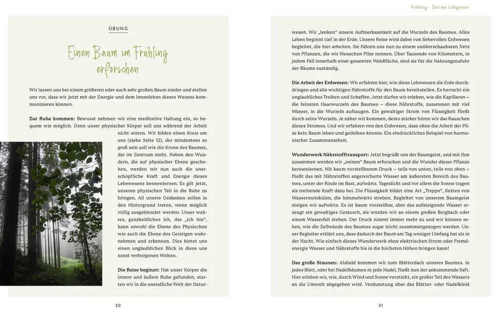 Die Welt der Naturgeister - Das Arbeitsbuch