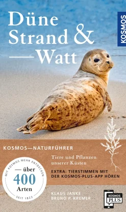 Düne, Strand und Watt