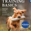 Dummytraining - Basics