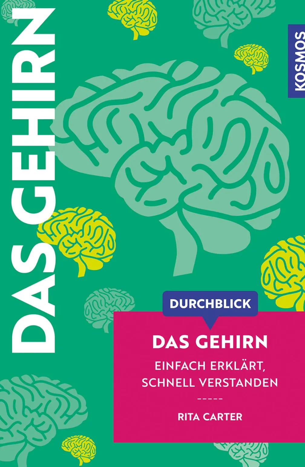 Durchblick Das Gehirn