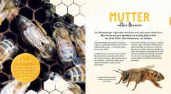 Ein Jahr mit den Bienen