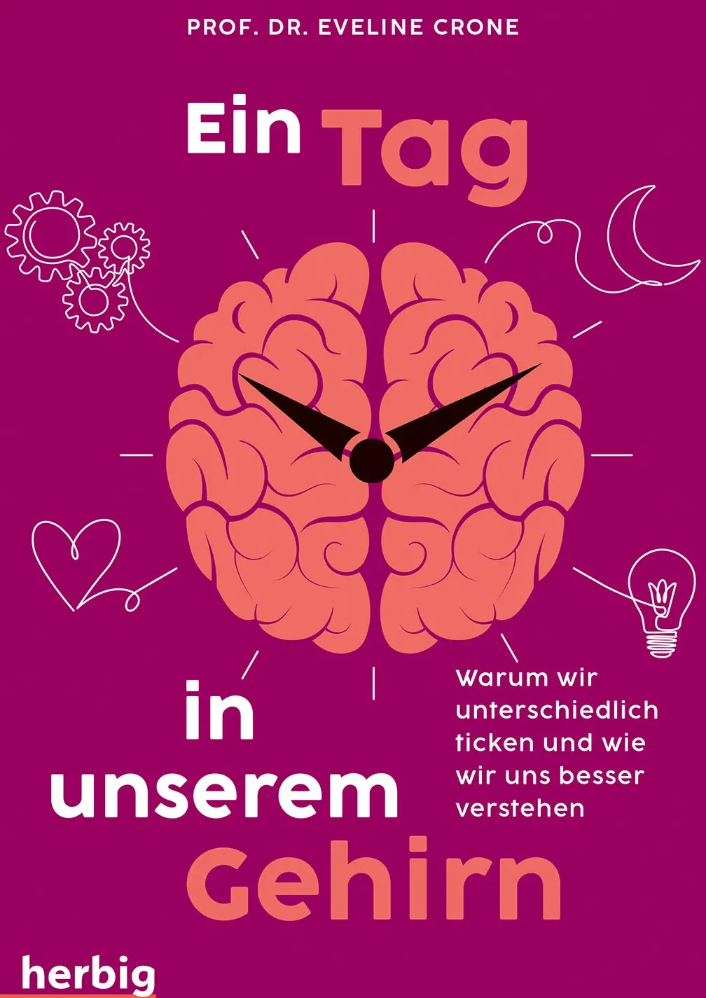 Ein Tag in unserem Gehirn