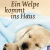 Ein Welpe kommt ins Haus