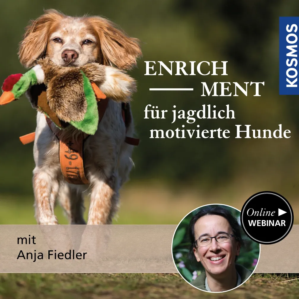 Enrichment für jagdlich motivierte Hunde – hündische Hobbys, die bereichern