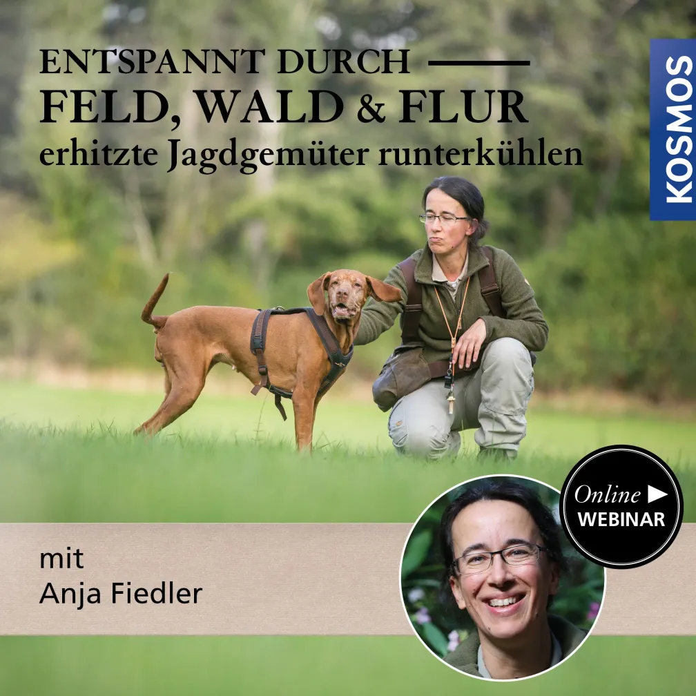 Entspannt durch Feld, Wald & Flur: erhitzte Jagdgemüter runterkühlen