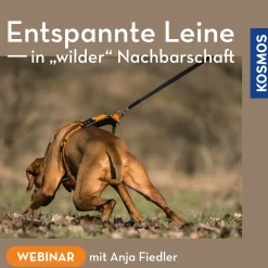 Entspannte Leine in wilder Nachbarschaft