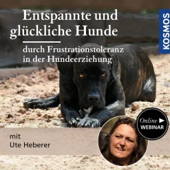 Entspannte und glückliche Hunde – durch Frustrationstoleranz in der Hundeerziehung