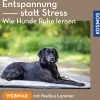 Entspannung statt Stress – Wie Hunde Ruhe lernen