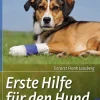 Erste Hilfe für den Hund
