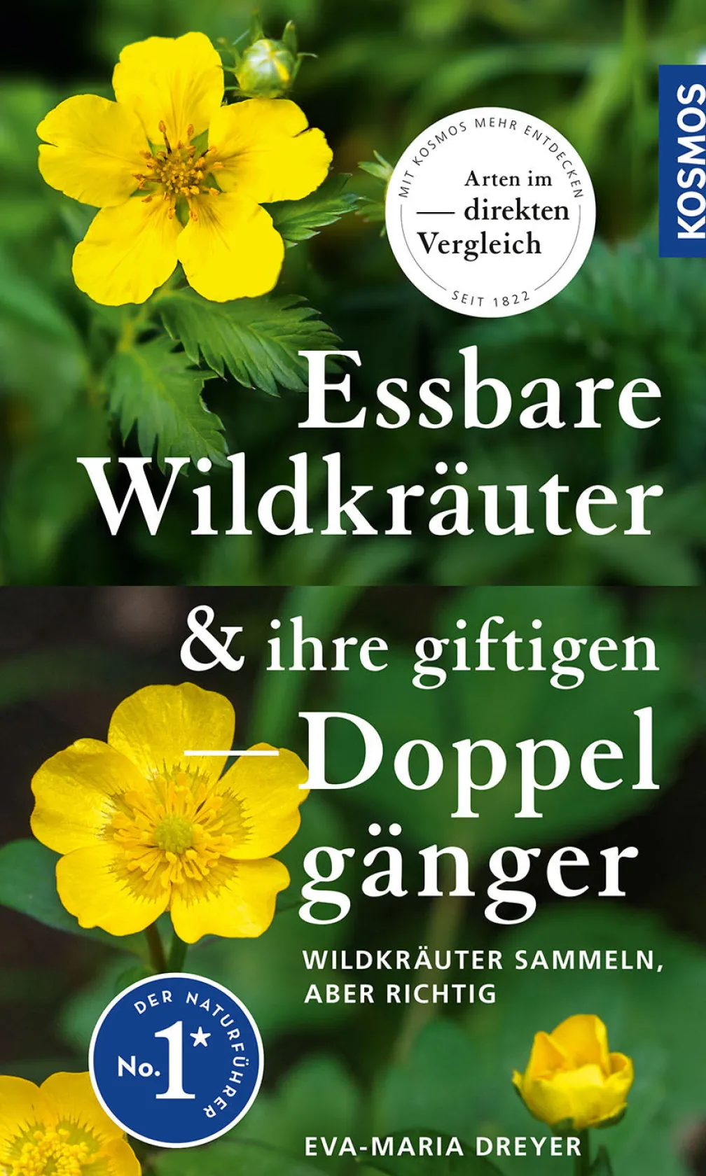 Essbare Wildkräuter und ihre giftigen Doppelgänger