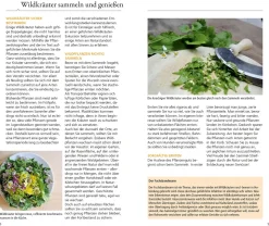 Essbare Wildkräuter und Wildbeeren für unterwegs