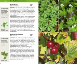 Essbare Wildkräuter und Wildbeeren für unterwegs