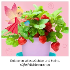 Feen-Erdbeeren