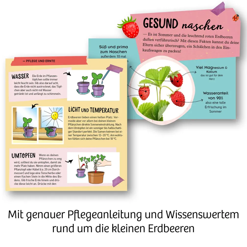 Feen-Erdbeeren