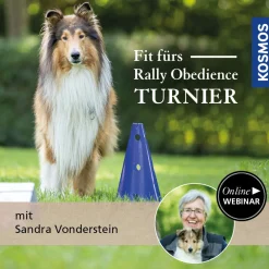 Fit fürs Rally Obedience-Turnier