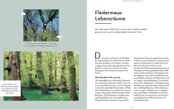 Fledermäuse