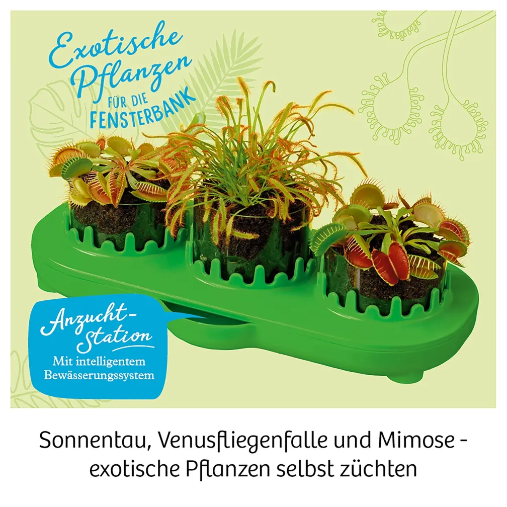 Fleischfressende Pflanzen
