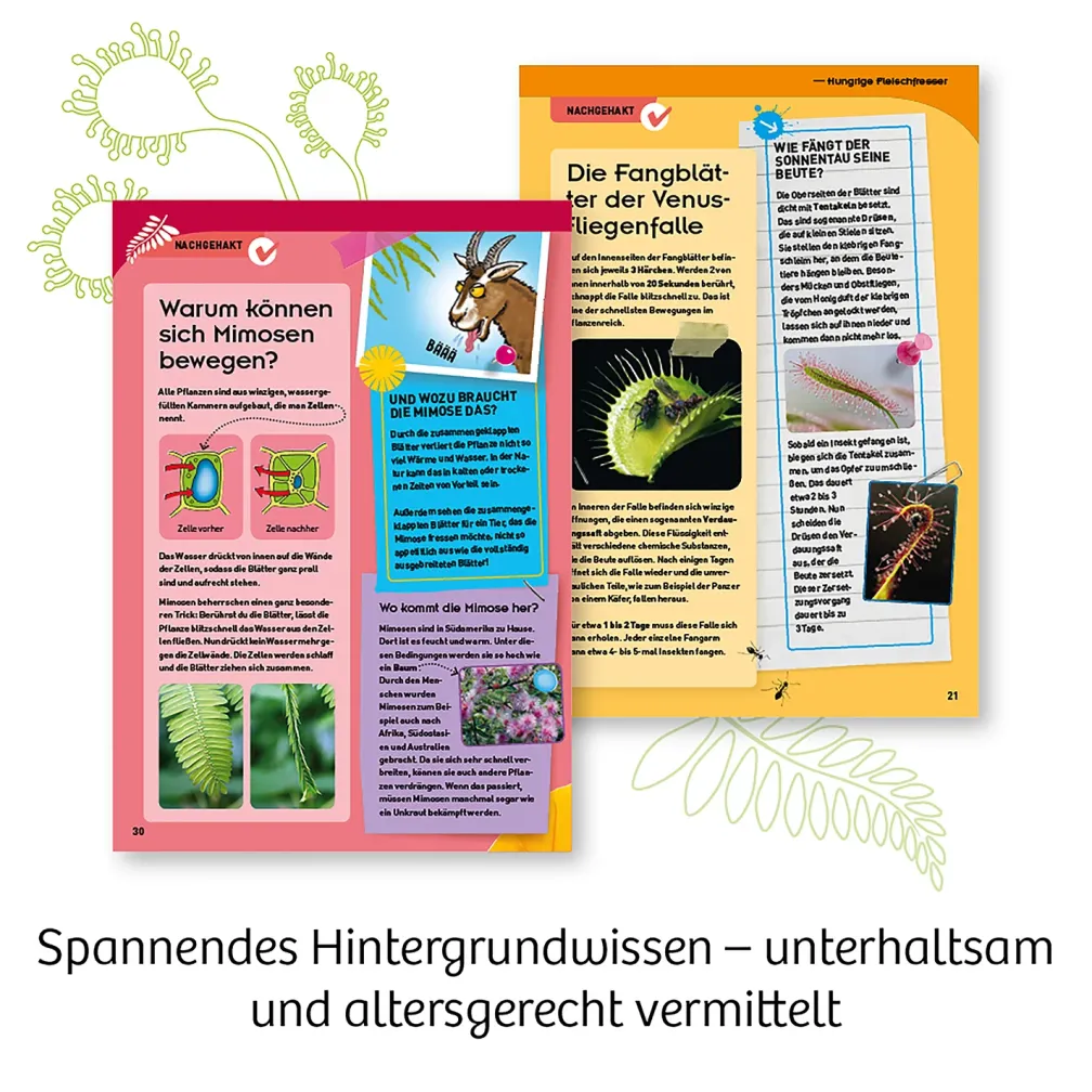 Fleischfressende Pflanzen