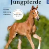 Fohlen und Jungpferde