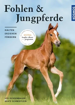 Fohlen und Jungpferde