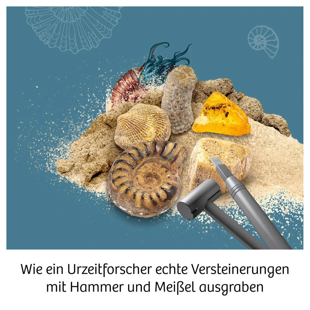 Fossilien