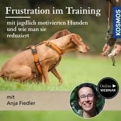Frustration im Training mit jagdlich motivierten Hunden und wie man sie reduziert